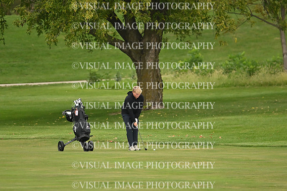 ILGF_26_T108008