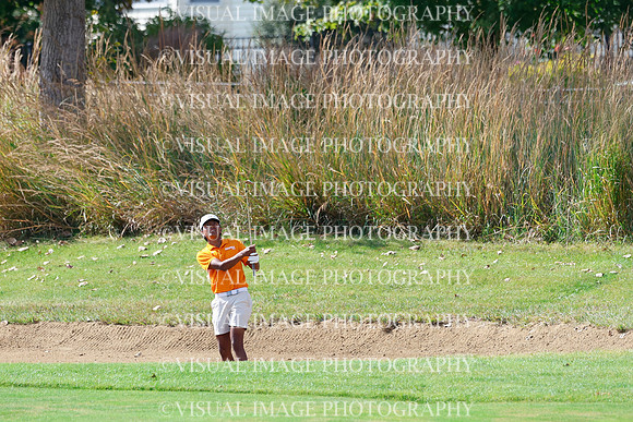 ILGF_26_T308022