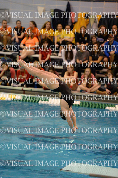 ILSWG15_DIVE_F022