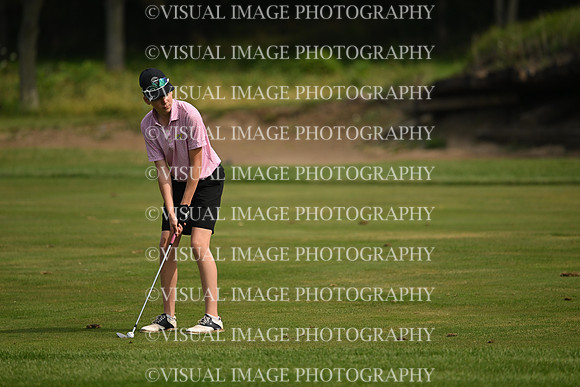 ILGF_26_T112015