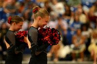 BMC26_OPENPOM_09012