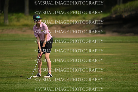 ILGF_26_T112014