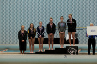 WISWG_15_A2010