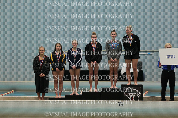 WISWG_15_A2010