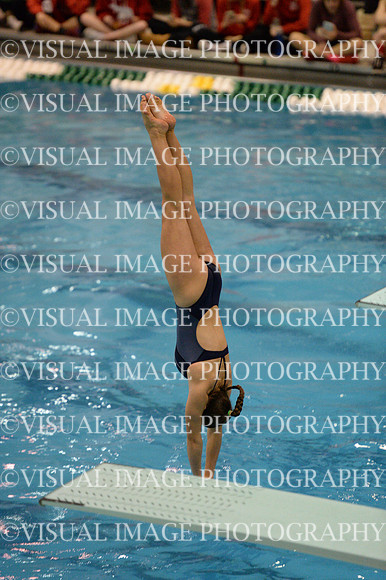 ILSWG15_DIVE_F021