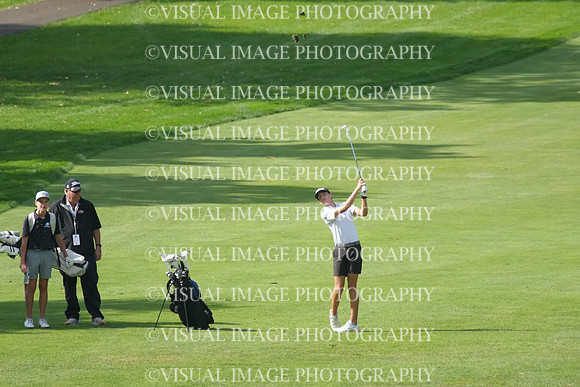 ILGF_26_IND20006