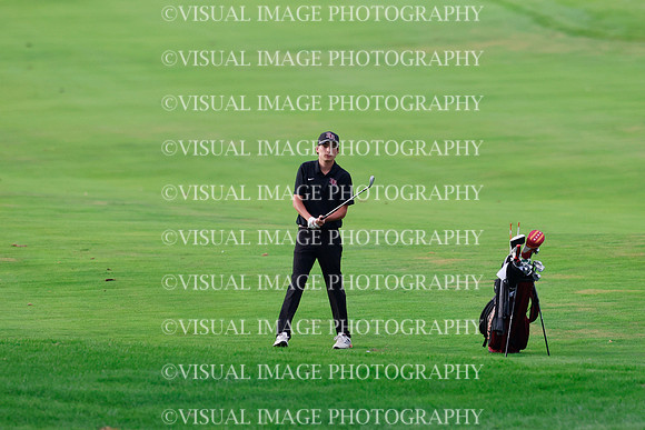 ILGF_26_T302004