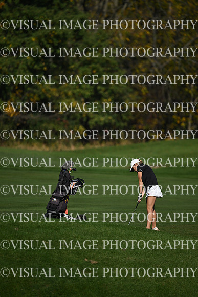 WIGFG_26_T108011