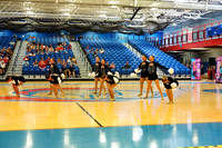 BMC26_OPENPOM_08004