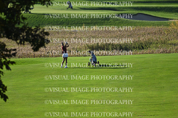 WIGFG_26_T112016