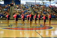 BMC26_OPENPOM_13007