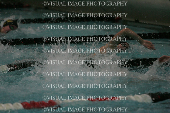 wiswg09_1free_2028