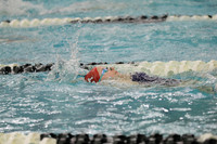 WISWG_22_20013