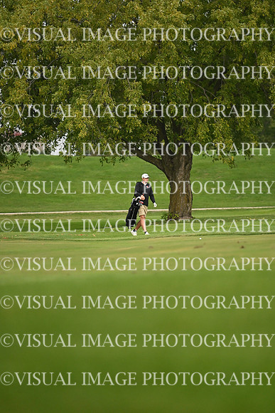 ILGF_26_T101019