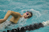 WISWG_22_10008