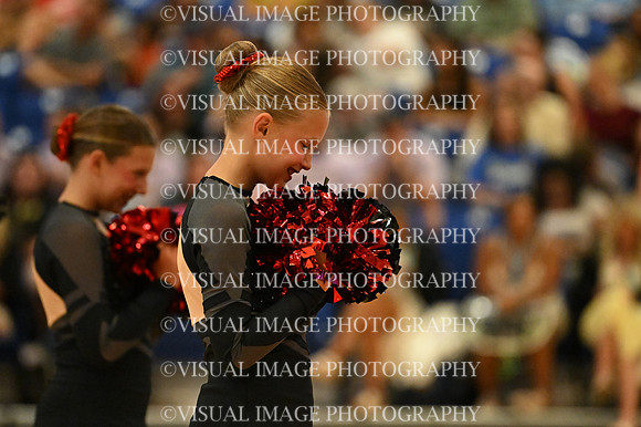 BMC26_OPENPOM_09013