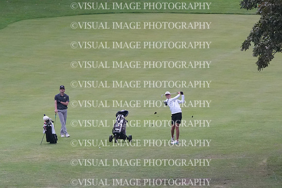 ILGF_26_T207006