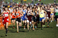 ILXC_15_10017