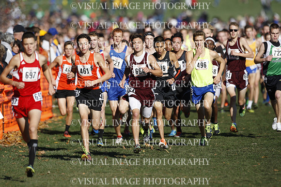 ILXC_15_10017
