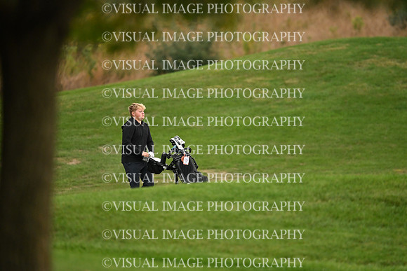 ILGF_26_T108004