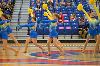 BMC26_OPENPOM_14009