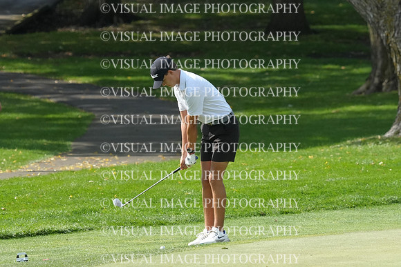 ILGF_26_IND20010