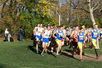 ILXC_15_30011