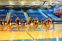BMC26_OPENPOM_18016