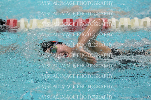 WISWG_15_S1008