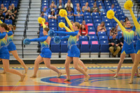 BMC26_OPENPOM_14012