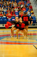 BMC26_OPENPOM_04003
