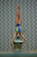wiswg09_dive_2009