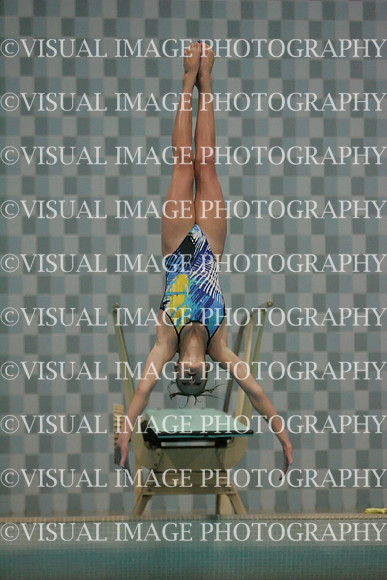 wiswg09_dive_2009
