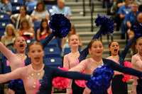 BMC26_OPENPOM_13017