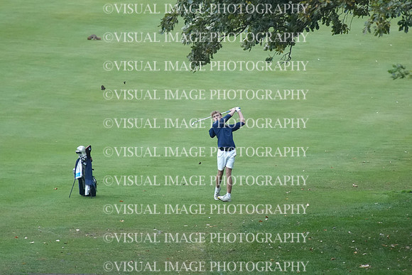 ILGF_26_T208006