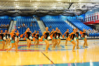 BMC26_OPENPOM_18015