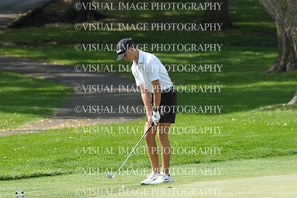 ILGF_26_IND20014