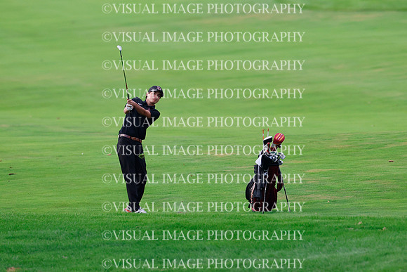 ILGF_26_T302010