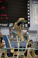 ILSWG15_DIVE_F015