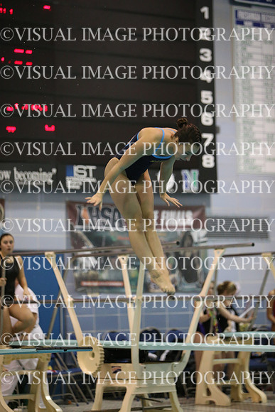 ILSWG15_DIVE_F015