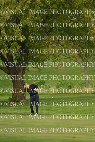 ILGF_26_T108014