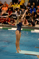 ILSWG15_DIVE_F018