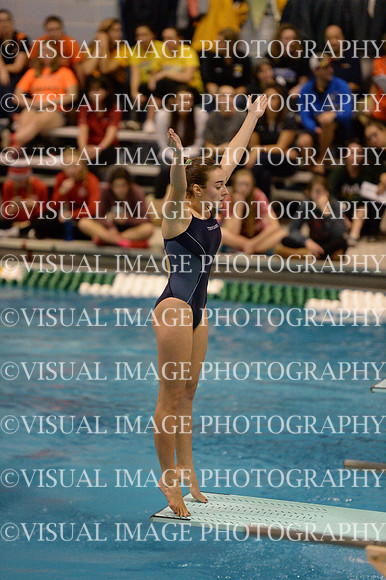 ILSWG15_DIVE_F018
