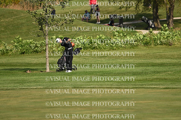 ILGF_26_T102008