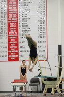 WISWG22_DIVE_2018