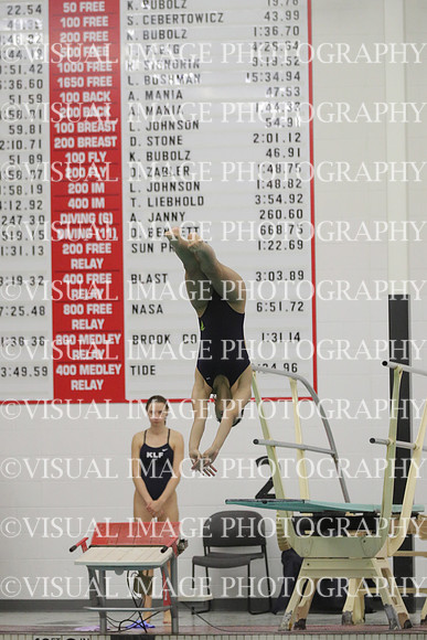 WISWG22_DIVE_2018