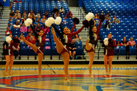 BMC26_OPENPOM_11013