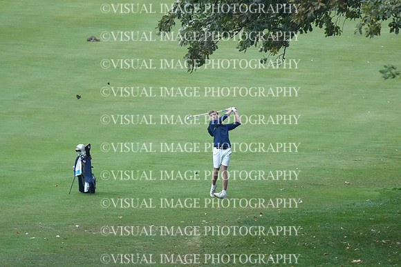 ILGF_26_T208007