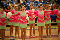 BMC26_OPENPOM_06011