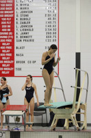 WISWG22_DIVE_2016